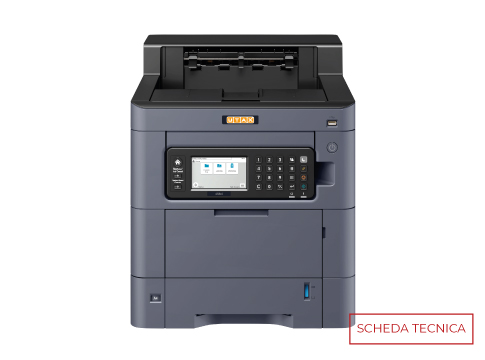 Lorem ipsum dolor sit